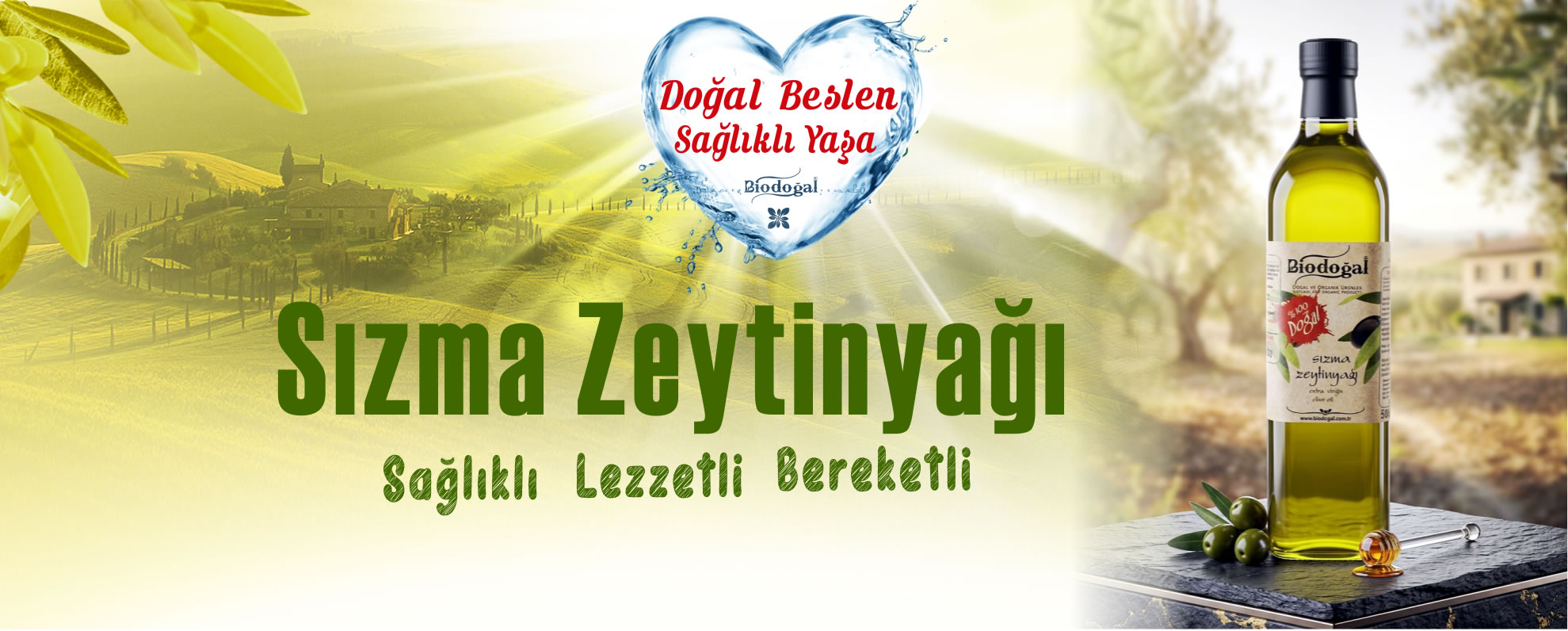 Sızma Zeytinyağı